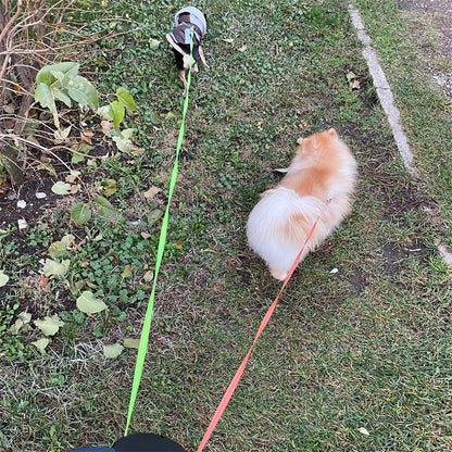 Two dogs walking on dual retractable leashes in a grassy outdoor area, demonstrating tangle-free control and comfortable walking for multiple pets.