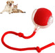 Interactive Smart Rolling Ball Toy for Dogs & Cats